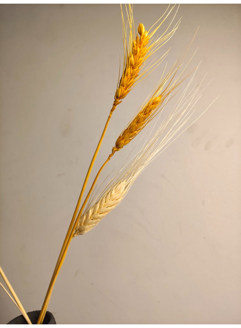 Cluc Ciambella white Vase ( includes dried stems) - Image 3